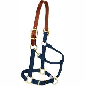 Venta caliente Racing Horse Halter PP Cuerda Halter y cuello de cabeza de caballo - Product Image 6