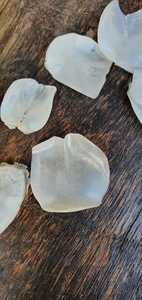 เครื่องชั่งน้ำหนักดิบจากเวียดนาม/เครื่องชั่งปลากะพงขาวจะถูกส่งออกไปในปริมาณมากเพื่อทำผงคอลลาเจน-แอนนาทำ W/A + 84982153058 - Product Image 3