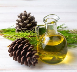 Aceite esencial puro de pino rojo | Extracto natural de Pinus densiflora | Exportador mayorista a granel - Product Image 4