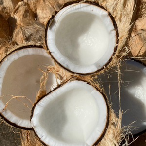 Noix de coco Choix du Vietnam: Faible quantité minimale de commande. Douceur tropicale. Haute nutrition. Leader des exportations biologiques. - Product Image 2