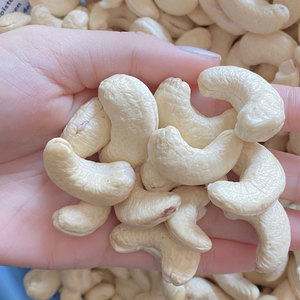 Noix de cajou brutes du Vietnam en gros, noix de cajou WW180, WW240, WW320, noix de cajou LP, OEM, ODM à Dubaï - Product Image 1