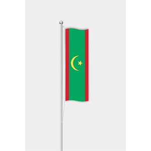 Custom #3x5ft# Nylon/Polyester Mauritania <b>Flag</b> with Aluminum <b>Pole</b> & Digital Printing - Product Image 1