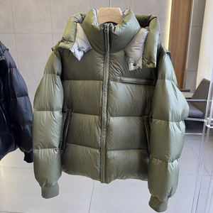 Chaqueta acolchada con capucha, abrigo aislado ligero cálido de gran tamaño, ropa de calle térmica, prendas de vestir exteriores de invierno, estilo informal - Product Image 1