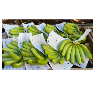 Bananas Cavendish Premium con gran sabor estándar de exportación Presentación atractiva para el mercado global - Product Image 3