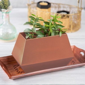 New Arrival Latest Flower <b>Vases</b> for Home Decor Small Nordic Plant Bud Modern <b>Clear</b> Cheap Decoration - Product Image 4