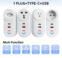 Prises intelligentes Wi-Fi Zigbee 3 prises 2 ports USB 16A Plastique ABS Israël 3 broches Surveillance de la consommation d'énergie TUYA USBC 240V Prise IL