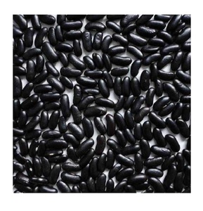 Suministro a granel de alta calidad Frijoles negros para cocinar Conservas Industria alimentaria Precio barato mundial disponible - Product Image 5