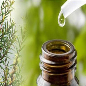 ต้นชาไฮโดรโซลบริสุทธิ์ต้นชาไฮโดรโซลบริสุทธิ์จาก100% - Product Image 4