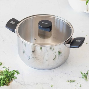 Pentola Elite in acciaio inox con coperchio in vetro 20 cm (Monix M240220) - Product Image 2