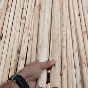 Gran cantidad de madera en redondo de Vietnam para producción agrícola y muebles - Product Image 2