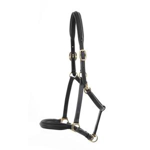 Halter en cuir rembourré leur licou en cuir rembourré avec du cuir de haute qualité, ce qui est parfait pour un usage quotidien - Product Image 1