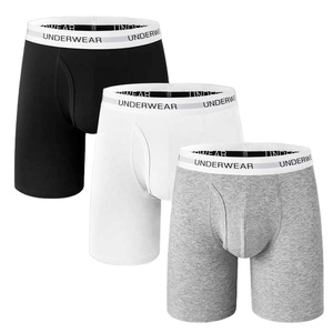 Active Lifestyle Comfort Fit Hommes Boxer Briefs Avec Tissu Doux Respirant Stretch Ceinture Évacuation De L'humidité Soutien Pour Quotidien - Product Image 1