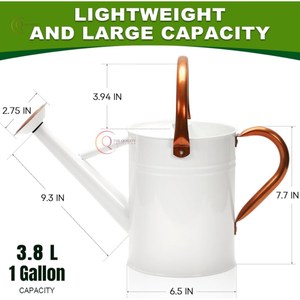 Arrosoir de luxe Design Simple arrosoir créatif Vintage canne à eau jardin logo impression arrosoir couleur personnalisée - Product Image 2