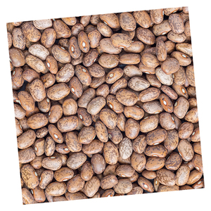 Pinto <b>Beans</b> for sale in various packaging sizes for trade and retail - Product Image 4