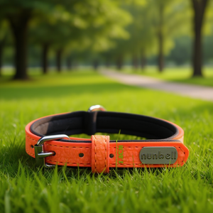 Collare per Cani Imbottito in Neoprene PU per Animali Domestici - Product Image 3