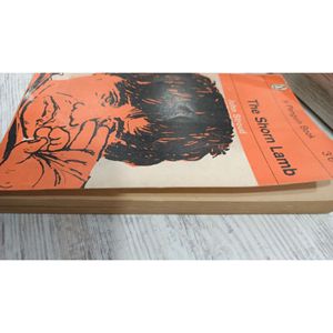 L'agnello corto-John Stroud