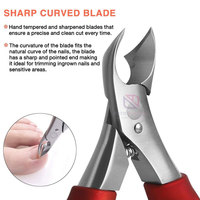 Coupe-ongles professionnels en acier inoxydable couleur unie personnalisés, instruments de beauté, outils de manucure et pédicure, fabricant OEM