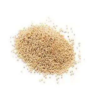 Grains de sorgho et graines de sorgho rouge blanc et jaune de bonne qualité - Product Image 2