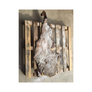 Pieles de Cabeza de Vaca húmedas y saladas ecológicas de la mejor calidad para cinturón, muebles, equipaje y bolsos, cabezales de tambor frescos totales - Product Image 4