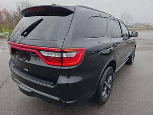 2025 abordable dDod-gee dDura-ngoo GT - Product Image 2