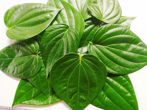 ใบพลูแห้งจากเวียดนามสินค้าเกษตร - Product Image 6