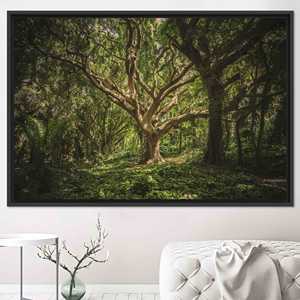Elegante cuadro impreso en lienzo con paisaje de árboles antiguos - Decoración moderna para el hogar, lienzo con marco NEGRO - Product Image 1