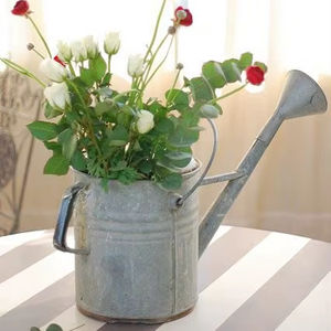 Regaderas de Acero Galvanizado Hechas a Mano |   Exportador de Herramientas de Jardinería Hecho en India - Product Image 1