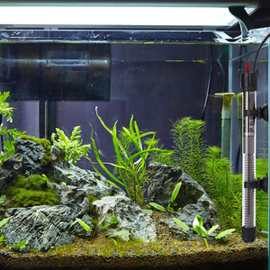 Chauffe-eau automatique en plastique durable à contrôle précis de la température, réservoir à poissons à température constante, aquariums écologiques - Product Image 5