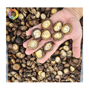 Champignons Shiitake séchés au soleil naturels Champignons chinois pour la restauration, l'hôtellerie et l'industrie alimentaire Emballage séché à l'air - Product Image 4