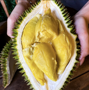 Iqf ทุเรียนแช่แข็งจากเวียดนามเนื้อนุ่มหวานอร่อยปรับแต่งสไตล์การบรรจุได้ - Product Image 4