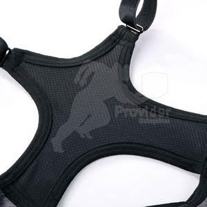 Meilleure qualité femmes soutien-gorge de sport professionnel fait femmes soutien-gorge de sport Spandex polyester fait femmes soutien-gorge de sport - Product Image 5