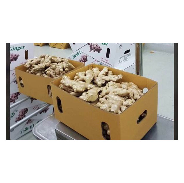 Лучший свежий имбирь из Индонезии, экспортная стандартная категория продуктов