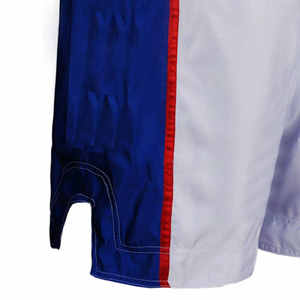 Pantalones cortos MMA Ropa de artes marciales Pantalones cortos de boxeo Mma Ropa DE LUCHA Diseñador Boxeo Diseño personalizado Ropa de entrenamiento Pantalones cortos de boxeo - Product Image 5