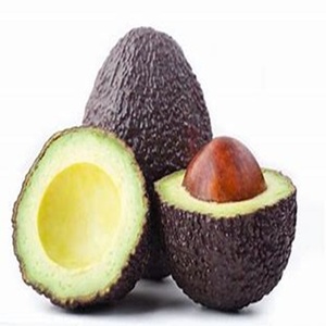 Avocat frais de meilleure qualité dans le monde entier aux prix de gros - Product Image 1