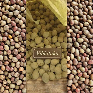 ส่วนผสมทำความสะอาดลำไส้ เบห์ดา (เทอร์มินาลีอา เบลลิริกา) - Product Image 3