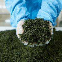 Poudre de thé vert Matcha biologique de qualité cérémoniale UE EMT2A pour boissons santé et préparation de matcha en vrac – Vente en gros