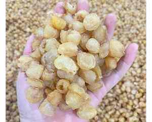 ลำไยตากแห้งจากเวียดนามสำหรับผู้ซื้อขายส่งและผู้จัดจำหน่ายใบยาวแห้งระหว่างประเทศโดย99GD - Product Image 5