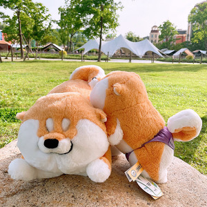 ชิบะอินุตุ๊กตาผ้ากำมะหยี่ทรงกลมหมอนตุ๊กตายัดไส้ตกแต่งบ้านตุ๊กตาชิบะอินูขนาด40ซม. - Product Image 6