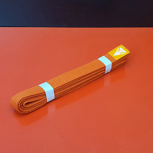 Haute qualité 100% coton sur mesure Logo ceintures pour Arts martiaux approvisionnement en gros Taekwondo brésilien Jiu Jitsu BJJ vêtements - Product Image 2