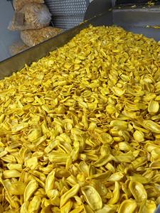 Fabricante vietnamita de chips de jaca para elaboración de snacks artesanales y guarniciones únicas para cócteles de frutas en bares y áreas de descanso elegantes. - Product Image 3