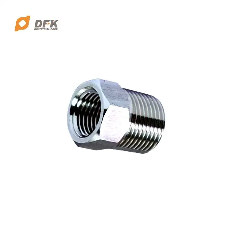 Hex Head Stainless Steel PT/NPT Hex Reducing Bush