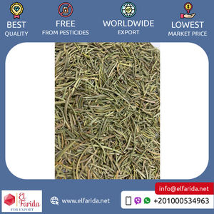 Hojas de Romero de alta calidad, las especias y hierbas individuales más vendidas de Egipto, precio razonable, proceso de secado en caliente - Product Image 3