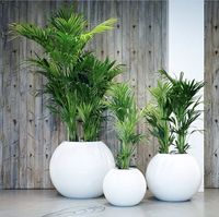Desain Klasik besar FRP serat kaca Pot bunga penanam kualitas tertinggi untuk rumah luar ruangan taman pembibitan produk buatan