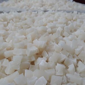 Cube de noix de coco Jumbo, morceaux de noix de coco séchés, noix de coco, collation de fruits secs raffinée et pratique, 500 grammes - Product Image 4