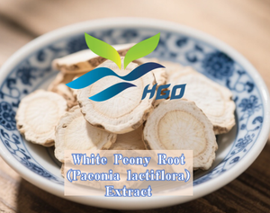 Extracto de raíz de peonía blanca Natural pura de suministro directo de fábrica HGO (Paeonia lactiflora) (grado alimenticio) Especificación Paeoniflorin 10% - Product Image 2