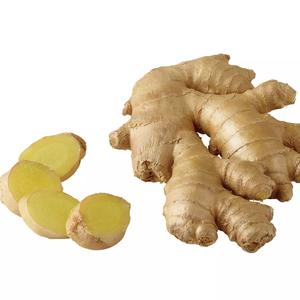 Jengibre fresco Premium de Vietnam/Alta calidad y sabor/Sra. Jessi - Product Image 2