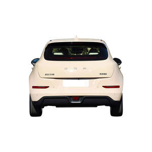 Voitures électriques mini EV neuves de la marque Good Cat 2024, voiture de sport électrique 401 km d'autonomie pour adultes, en parfait état, prêtes à être expédiées. - Product Image 3