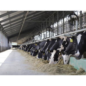 Cobertizo de granja lechera prefabricada, producto en oferta, 2022 - Product Image 1