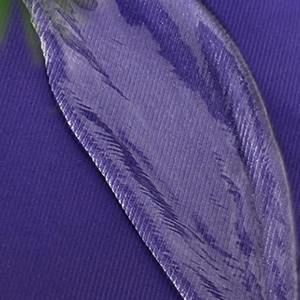 Sac à dos à cordon de couleur dégradée de grande capacité pour les activités de plein air Gym Yoga Fitness - Product Image 5