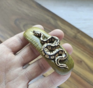 Chic Buffalo Horn Hair Sticks Épingles à cheveux en corne de vache et de boeuf de haute qualité pour accessoires à la mode - Product Image 3